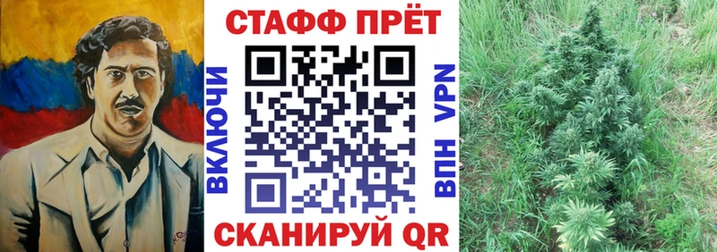 Все наркотики Электрогорск MDMA  Меф мяу мяу  Гашиш 