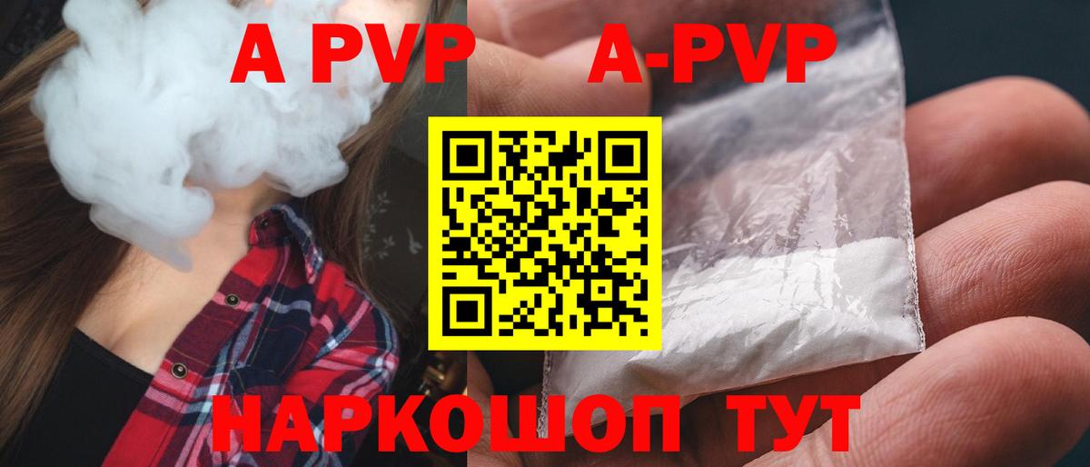 A PVP СК Электрогорск