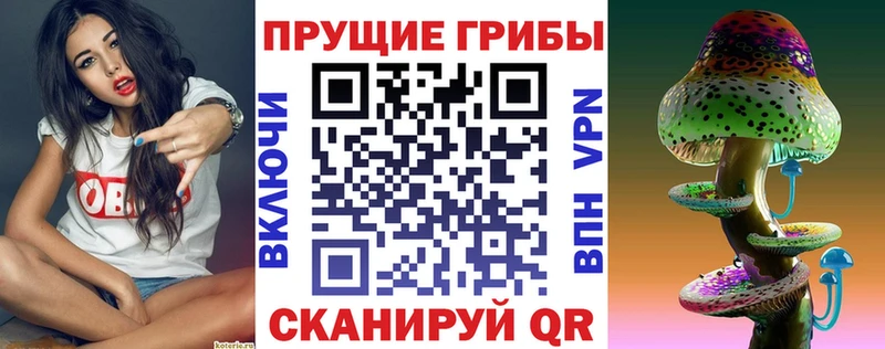 Галлюциногенные грибы MAGIC MUSHROOMS  наркота  Электрогорск 