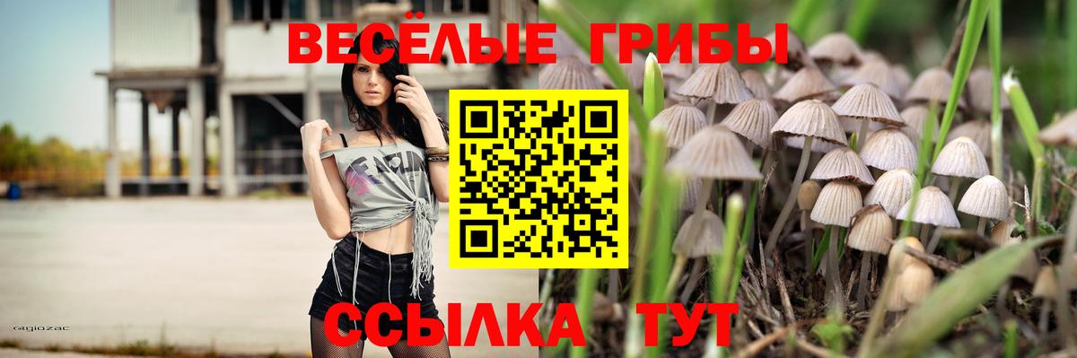 Галлюциногенные грибы мицелий  купить   Электрогорск  Вход с VPN 